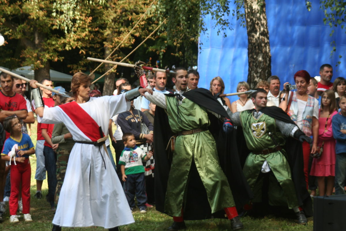 Partiumi Magyar Napok 2010 - IX. 
